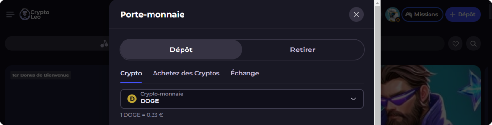 capture d'écran dépôt dogecoin crypto leo