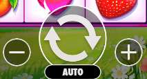 bouton auto play fruit party 2