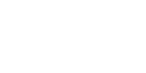 wettigo casino logo light