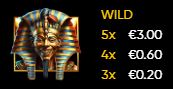 symbole scarabee slot joker ra sunrise